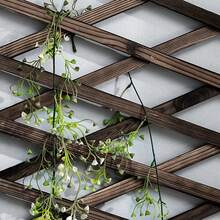 Expanding Divider Wooden Trellis Climbing Plants Support Panel Screening Lattice Garden Wall Fence - Brown - View 6