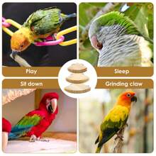 6Pcs Bird Perch Platform Wooden Bird Perch Corner Stand Easy Installation Parrot Perch Corner Shelf Sturdy Bird Perch Platform Stand For Parakeet Conure Cockatiel Budgie 10x10cm 13x13cm 17x17 Cm