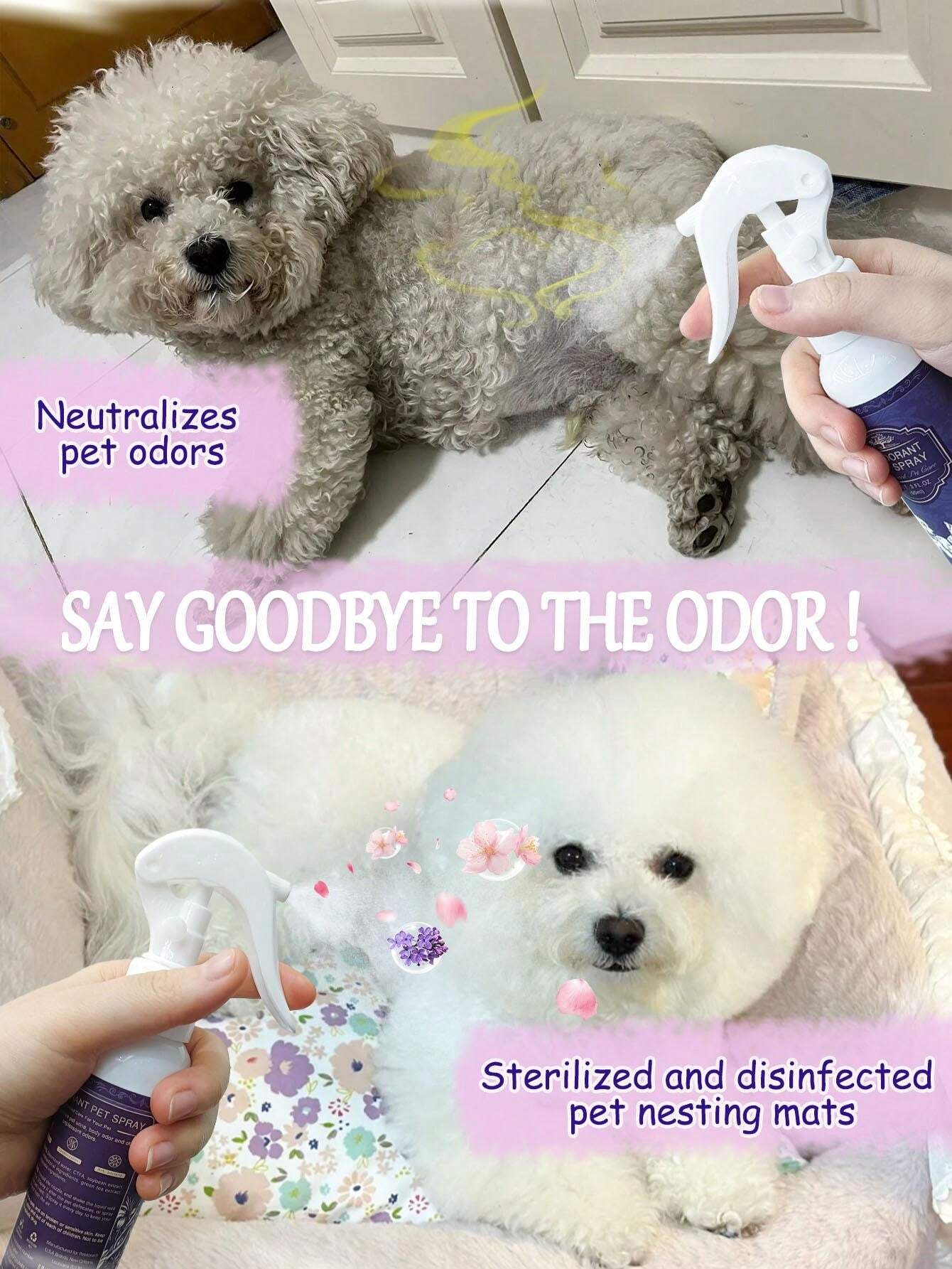 petstoral Sakura Lavender Dog Deodorizing Spray Lightly Scented Dog