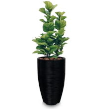 Vases - Negro - Ver 2