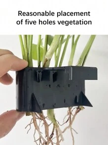 1 件水族箱邊緣框架多孔水耕植物架、魚缸植物生長架四季通用 - 黑色 - 查看 3