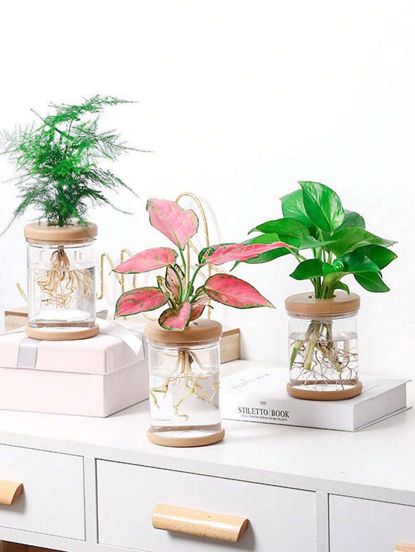 1 pezzo Vaso idroponico in vetro trasparente, Vasetto decorativo in