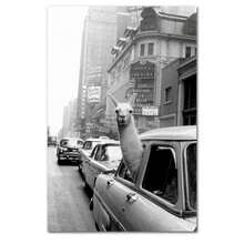1PC Black And White Travel Landcape Posters Alpaca Giraffe Canvas Painting Street Photography Pictures Home Decor , No Frame