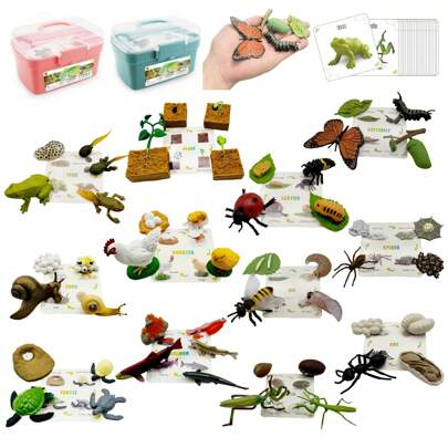 Kit de juguetes educativos y de aprendizaje del ciclo de la vida con figuras realistas de animales, insectos y plantas con tarjetas de aprendizaje, kit de renacuajos a ranas, kit de orugas de mariposa Monarca, mariquita, pollo, planta, tortuga, hormiga, abeja, caracol, pez, mantis, araña, juguetes de montessori para niños de 3 años o talla grande, herramientas y suministros de enseñanza, actividades de aprendizaje de ciencias para estudiantes de preescolar y juguetes para niños y niñas (algunos patrones se envían al azar)