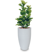 Vases - สีเทาอ่อน - ดู 2