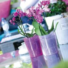 Prosperplast Flower Pots & Planters