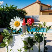 Cola profissional para cílios, secagem rápida, salão de extensão de cílios, antifúngico/laca/rápido pronto entregar