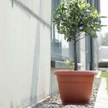 Prosperplast Pot TERRA 8L., dimensions (mm) 300x300x235, couleur Terre cuite - Multicolore - Voir 3