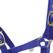Hy Foal Head Collar (Blue) - Cadet Blue - View 2