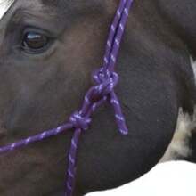 Hy Rope Halter (Navy) - Navy Blue - View 2