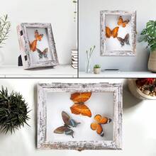 1入組簡約風格白色仿舊昆蟲標本展示盒，尺寸7.1*9.2*2.45 英寸，可掛於牆面收藏蝴蝶標本，上部配有防紫外線保護丙烯酸蓋板和EVA泡沫釘板及3種尺寸的釘子（不包括蝴蝶） - 做舊白 - 查看 7