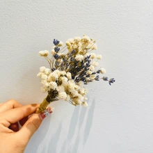 1-10pcs Bouquet Of Natural Dried Flowers, Pampas Bouquet, Bohemian Mini Bouquet, Home Decoration, Rabbit Tail, Reed, Wedding Decoration Best Gifts, Wedding Decor, Home Decor, Room Decor Party Favors Bride Birthday Graduation Birthday Decorations Party Decorations Bachelorette - 彩色 - 查看 4