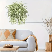 1pc Artificial Hanging Spider Plant, Large Outdoor Fake Chlorophytum Plant, Suitable For Indoors Home Garden Office Decoration - Phnom Penh Green - View 5