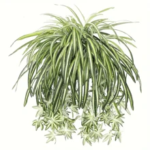 1pc Artificial Hanging Spider Plant, Large Outdoor Fake Chlorophytum Plant, Suitable For Indoors Home Garden Office Decoration - Phnom Penh Green - View 8