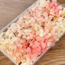 1Box High Quality Multicolour Hydrangea Dried Flowers-Perfect For DIY Crafts,Candles,Weddings,Diy Handmade,Christmas - White Powder Gradient Color - View 4