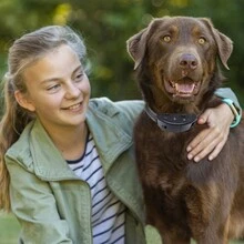 Dog Bark Stopper Automatic Sound Control Bark Stopper Type-C Rechargeable Waterproof Model Effective Training Dog Barking - Multicolor - View 3