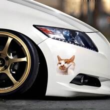Divertida y creativa pegatina de patrón de gato para el Body del automóvil