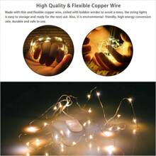12 Pk 6.6ft 20 LED Copper Wire String Fairy Lights Xmas DEcoor With Battery