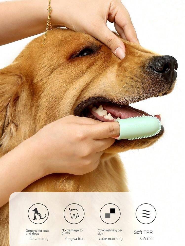 1pc, Pets Dog Toothbrushes And Toothpaste, Pet Toothbrush For Dogs, Cats With Soft Bristles