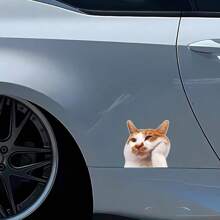 Divertida y creativa pegatina de patrón de gato para el Body del automóvil