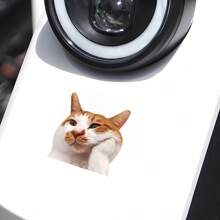 Divertida y creativa pegatina de patrón de gato para el Body del automóvil