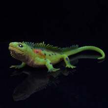 1 pieza Juguete realista de lagartija/camaleón de plástico blando, envío de estilo aleatorio, con sonido y apretable - Multicolor - Ver 5