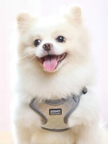 Pet Chest And Back Leather Harness Set With Leash For Small And Medium Dogs, New Style Anti-Breakaway Vest-Type Pet Traction Rope - Grey - View 5