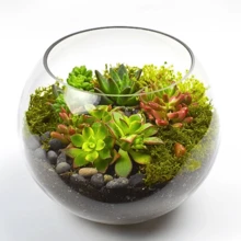 Vases - 無色 - 查看 8