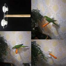 1入木製鸚鵡章魚立柱，鳥類立柱，木製棲息立柱，磨爪棒 - 米色 - 查看 3
