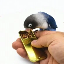 1pc Gold Color Bird Training Food Bowl, Parrot Handheld Feeder, Suitable For Ravens And Other Pets