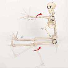 10 bộ đồ trang trí Halloween hình bộ xương có thể uốn cong 16", đạo cụ hình bộ xương bằng nhựa cho sân, vườn, trang trí nhà ma - Màu be - Xem 5