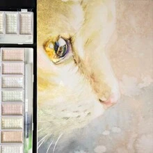 Bộ màu nước bầu trời sao cao cấp 5/8 màu, màu vàng kim, kèm cọ vẽ, dành cho họa sĩ vẽ tranh, phác thảo, vẽ màu nước. - Bộ - Xem 6