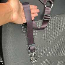 Pet Seat Belts - Màu đỏ tím - Xem 3