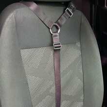 Pet Seat Belts - Màu đỏ tím - Xem 4