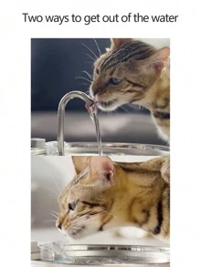 1个3.2升/108盎司/0.85加仑不锈钢大容量宠物饮水器，适用于中小型犬猫，自动饮水，USB供电（不含适配器） - 3.2L - 查看 6