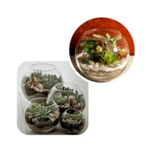 Vases - 無色 - 查看 3