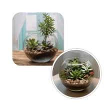 Vases - 無色 - 查看 2