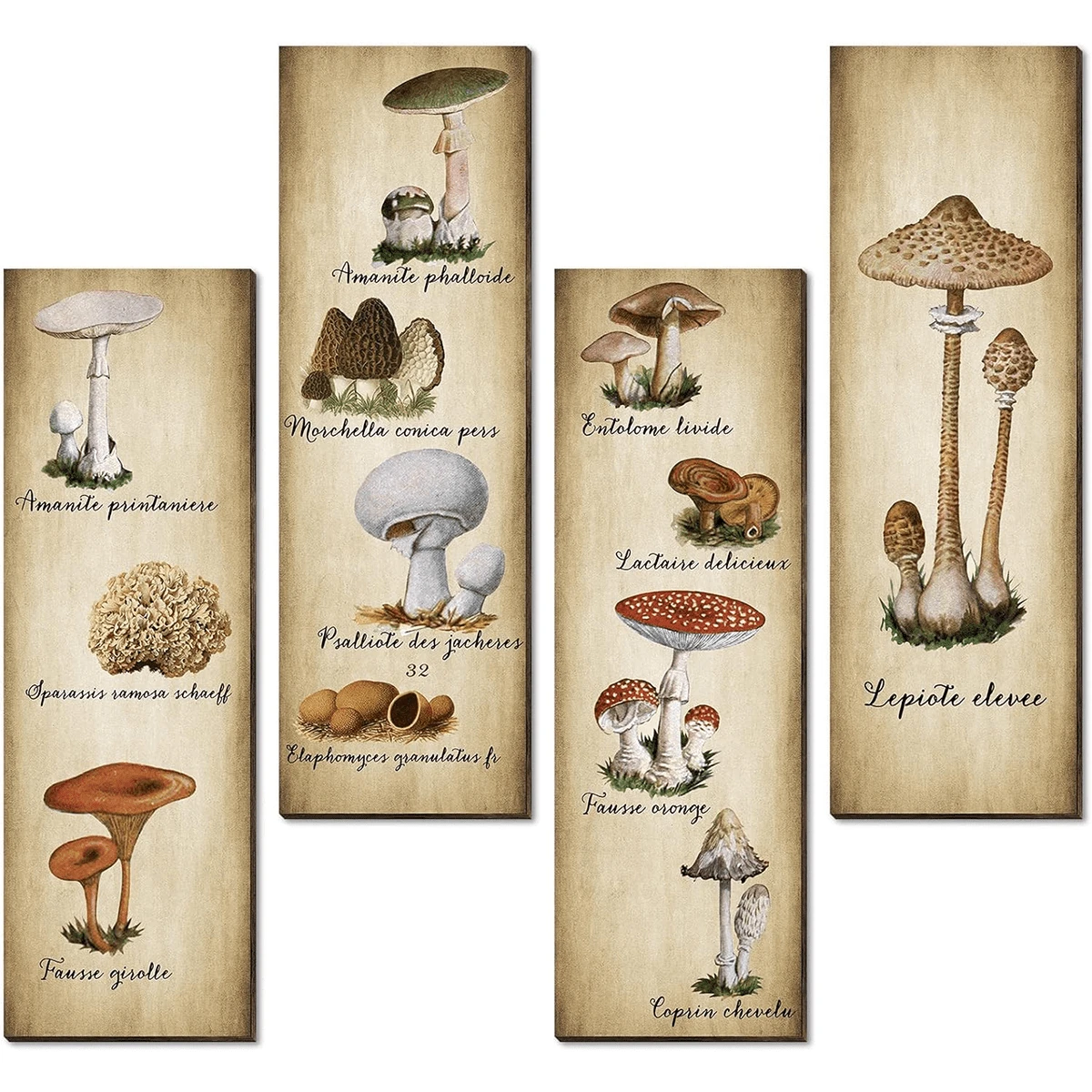 4入組蘑菇壁飾，復古蘑菇壁藝術標誌，鄉村木質蘑菇廚房裝飾，臥室、飯廳、客廳、辦公室掛畫菌類美學藝術 - 棕色 - 查看 1