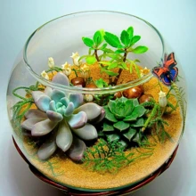 Vases - 無色 - 查看 7