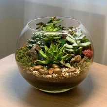 Vases - 無色 - 查看 6