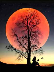 陽光下的河流5D鑽石畫套件 - 全鑽鑽石畫適用於成年人或初學者，鑽石藝術工藝適用於家居牆壁裝飾，客廳 - 彩色 - 查看 19