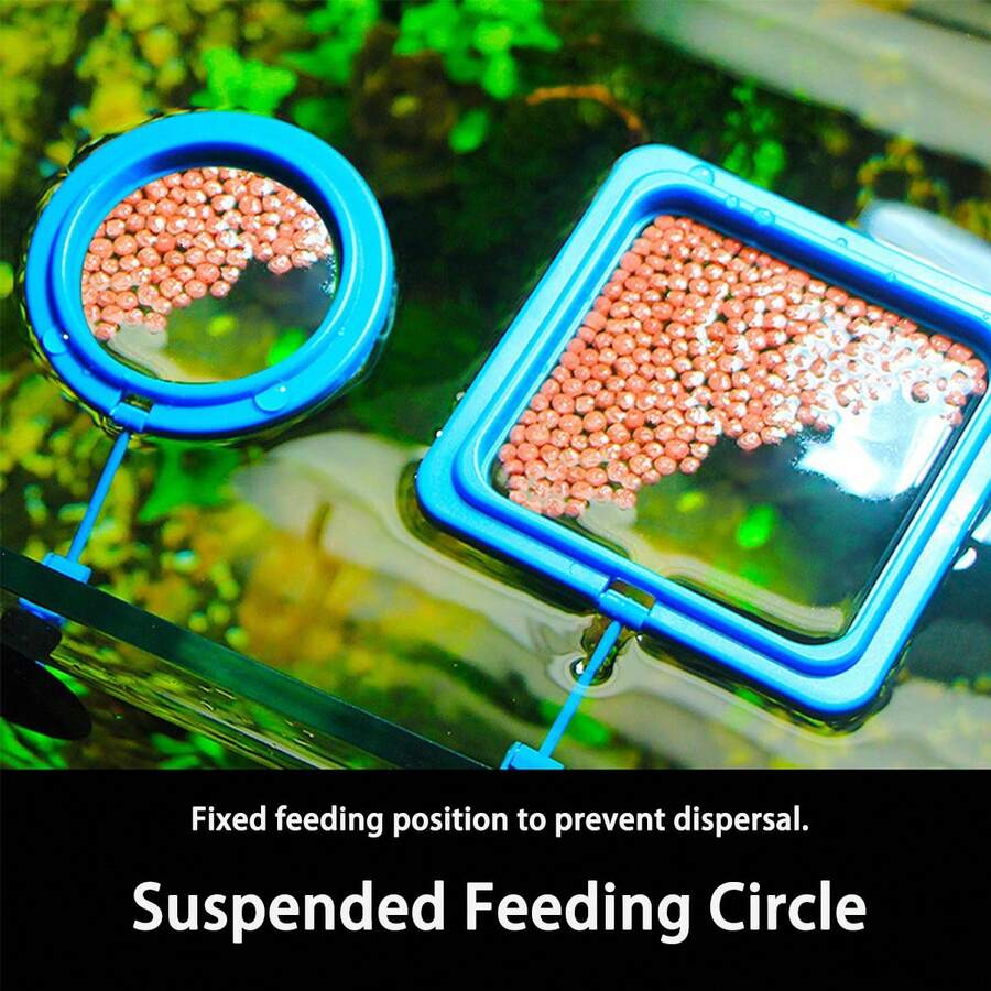 1pcFish Food Feeding RingVòng nuôi cá bể cáVòng cho cá ănVòng nuôi cá nhiệt đớiThức ăn cho cáCung cấp bể cá - Nhiều màu - Xem 1