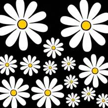 14 Girasoles, disfrutando de la belleza de la vida, calcomanías y pegatinas para coches, motos y cualquier superficie lisa