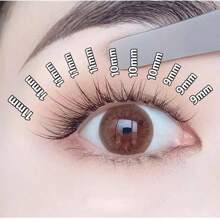 anlinnet 120 簇独立睫毛簇 0.07 毫米 W 形自然簇睫毛，8-14 毫米持久睫毛簇，睫毛簇，独立睫毛，睫毛，假睫毛