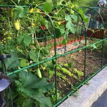 15 pezzi 8mm Tubi in plastica e acciaio per pergole da giardino di supporto alla scalata delle piante, pali di supporto per fiori