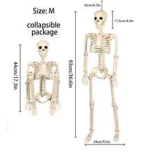 10 bộ đồ trang trí Halloween hình bộ xương có thể uốn cong 16", đạo cụ hình bộ xương bằng nhựa cho sân, vườn, trang trí nhà ma - Màu be - Xem 3