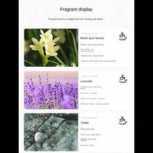 1 件新款 2024 黑/白杯玻璃罐香薰蜡烛，植物蜡香味蜡烛，送给女性朋友、母亲、女朋友、妻子、父亲、女儿、儿子、圣诞礼物、无烟香薰蜡烛、房间装饰、礼物的理想礼物 - 多色 - 查看 7