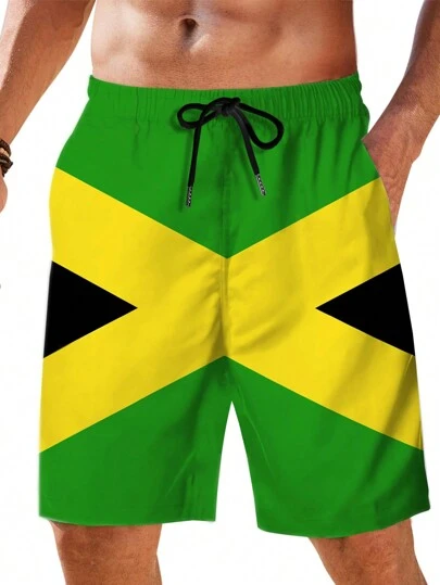 Men Plus Size 3D Digital Print Breathable And Soft Casual Hawaiian Beach Vacation Casual Shorts For Daily Wear, Summer,Hawaiian