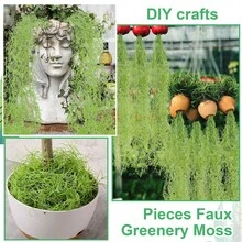 6pcs Artificial Green Moss Spanish Moss Potted Plant Hanging Moss Flower Garland Suitable For Indoor And Outdoor Crafts Decoration - Multicolor - View 3