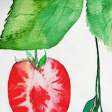 2/3pcs 3D Strawberry Print Duvet Cover Set Pink Bedding Set (Size 135x200 Only 1 Pillowcase) - Black - View 4